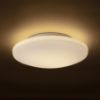 SARA LED 36 mennyezeti lámpa opál üveg/króm 230V LED 24W IP44 3000K